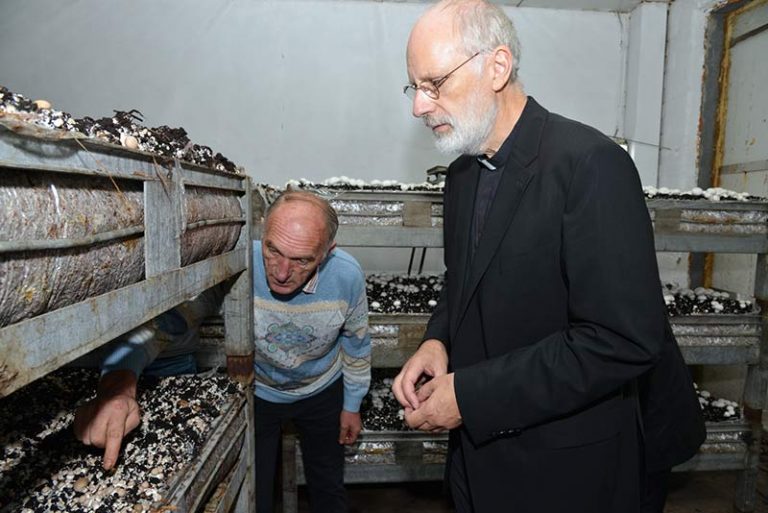 Peter Marseille und Weihbischof Ansgar Puff schauen sich eine Kultur mit braunen Champignons ganz genau an.