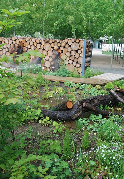 Der Pilzgarten in Heilbronn wurde sehr gut besucht.