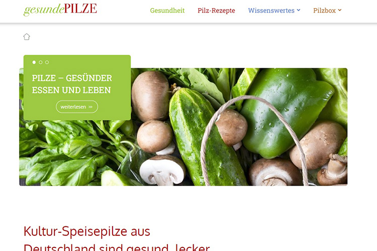 Das Thema „Gesundheit“ wird ab sofort noch prominenter bespielt auf der Website www.gesunde-pilze.de.
