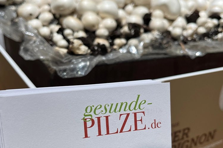 Weihnachtsgruß und Jahresrückblick