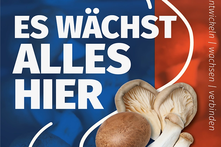 Dutch Mushroom Days 2026