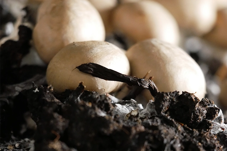 Anpassung wirtschaftlicher Rahmenbedingungen