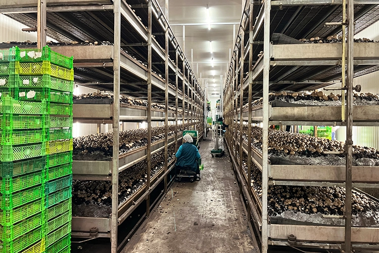 Sonderregelung beim Mindestlohn