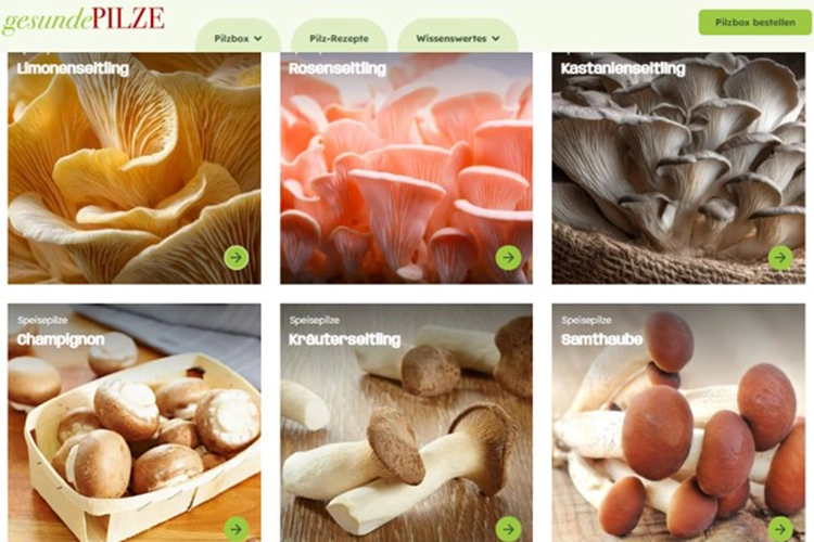 BDC_NL_2026_03_Refresh_Internetseite_Gesunde_Pilze_